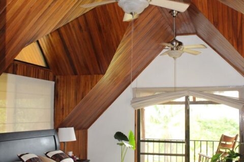 Costa Rica Organic farm Luxury Homes for sale