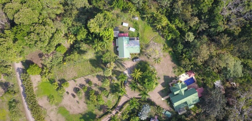 Costa Rica Organic farm Luxury Homes for sale