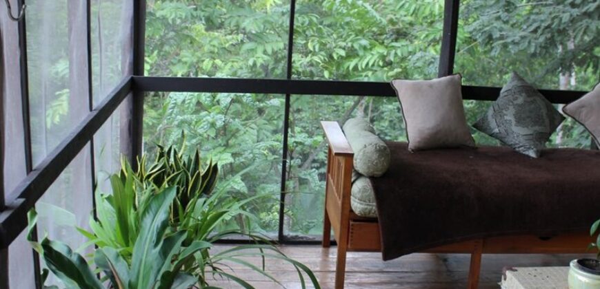 Costa Rica Organic farm Luxury Homes for sale