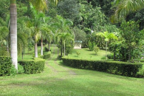 Costa Rica Organic farm Luxury Homes for sale