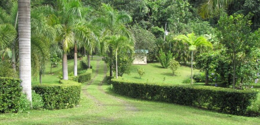 Costa Rica Organic farm Luxury Homes for sale