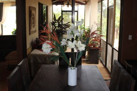 Costa Rica Organic farm Luxury Homes for sale