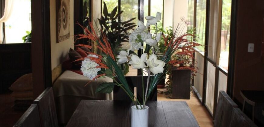 Costa Rica Organic farm Luxury Homes for sale