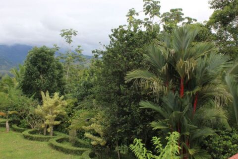 Costa Rica Organic farm Luxury Homes for sale