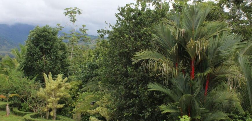 Costa Rica Organic farm Luxury Homes for sale