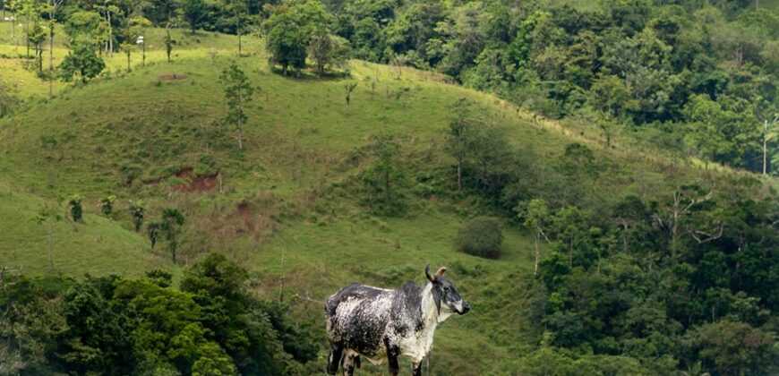 Costa Rica Riverfront Mountain Ranch and Farm Property