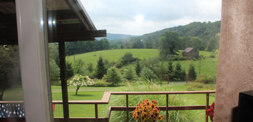 Country Estate With 9± Acres for Sale in Fremont, NY