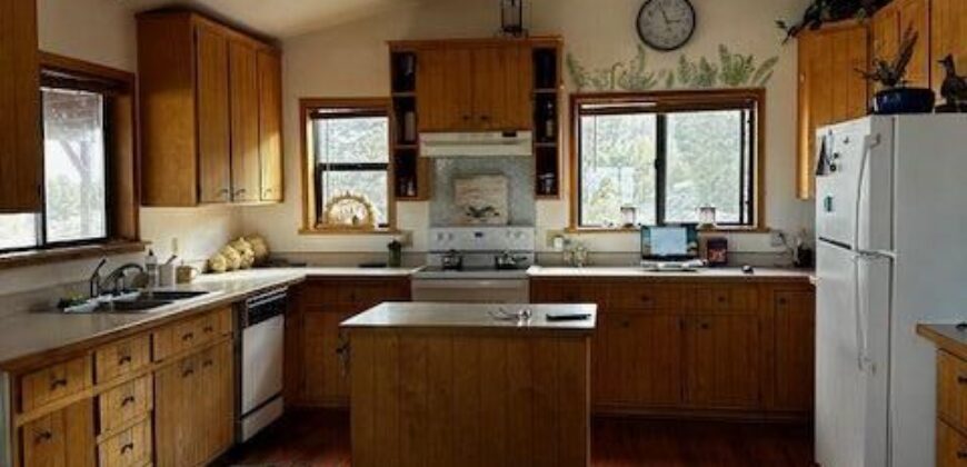 Country Home For Sale in Cedarville, CA