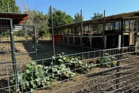Country Properties in Guinda, California for Sale