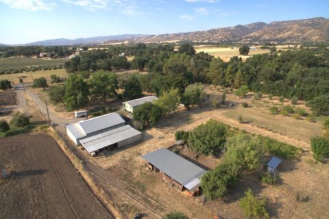 Country Properties in Guinda, California for Sale