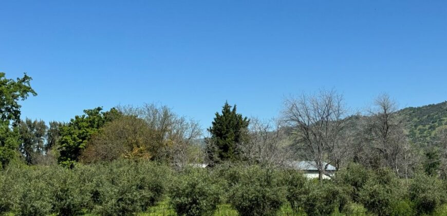 Country Properties in Guinda, California for Sale