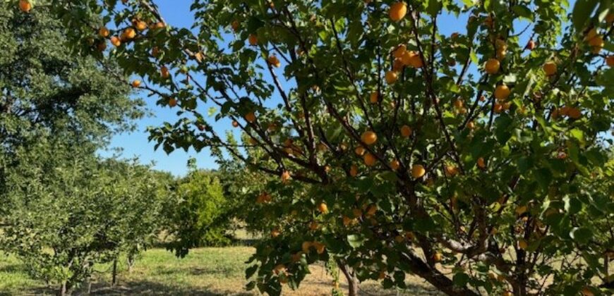Country Properties in Guinda, California for Sale