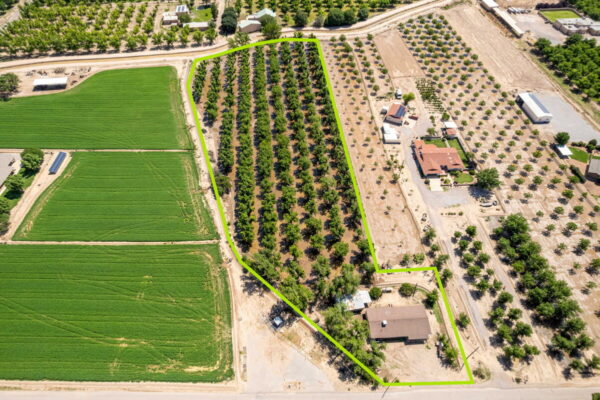 Home on 3.86 Acres in Mesilla, NM with Agricultural Potential