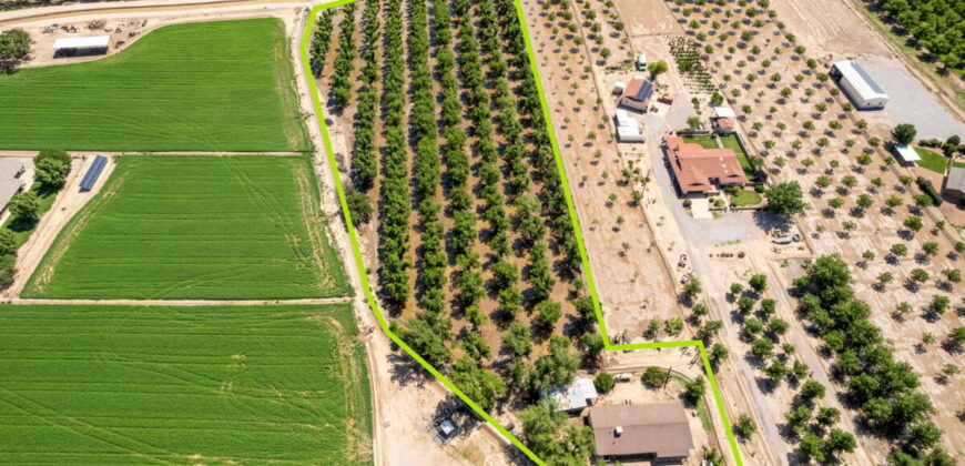 Home on 3.86 Acres in Mesilla, NM with Agricultural Potential
