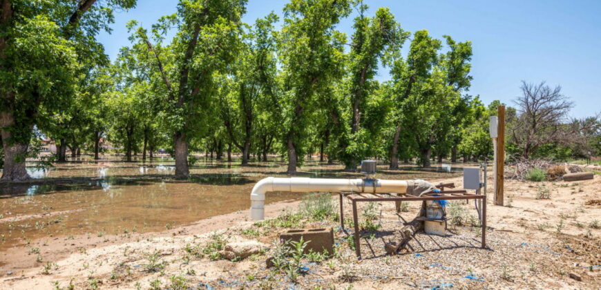 Home on 3.86 Acres in Mesilla, NM with Agricultural Potential