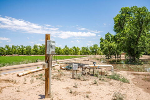 Home on 3.86 Acres in Mesilla, NM with Agricultural Potential
