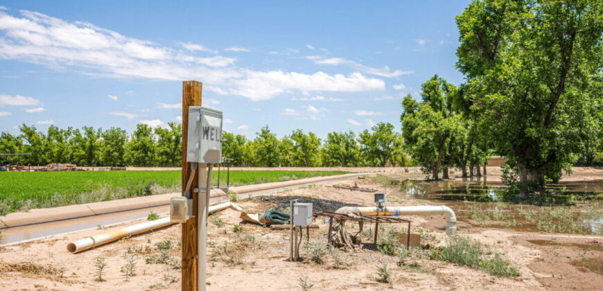 Home on 3.86 Acres in Mesilla, NM with Agricultural Potential