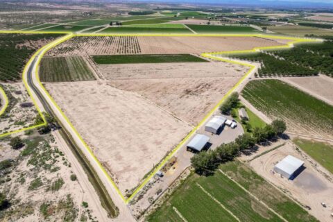 Large Pecan Farm for Sale in Hatch, New Mexico