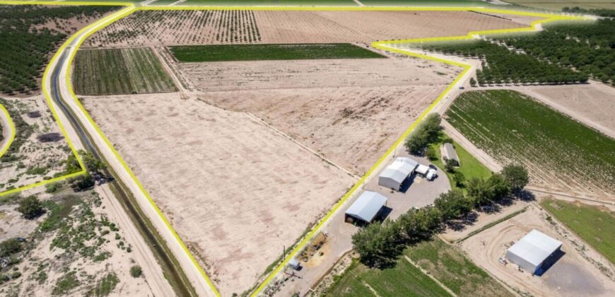 Large Pecan Farm for Sale in Hatch, New Mexico