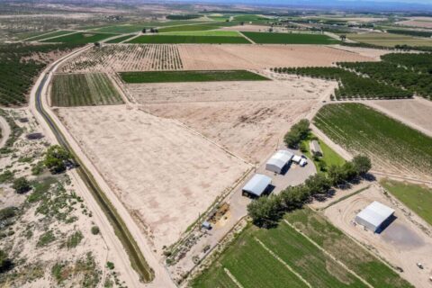 Large Pecan Farm for Sale in Hatch, New Mexico