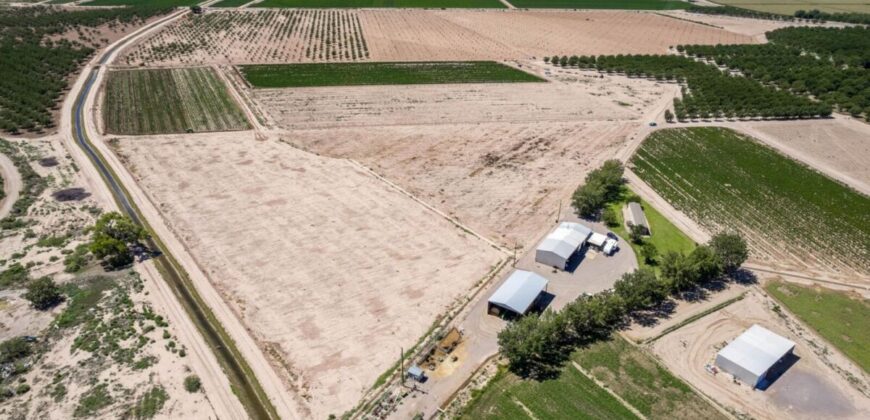 Large Pecan Farm for Sale in Hatch, New Mexico