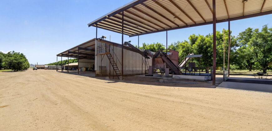 Pecan Orchard For Sale in Arizona