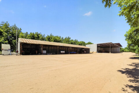 Pecan Orchard For Sale in Arizona