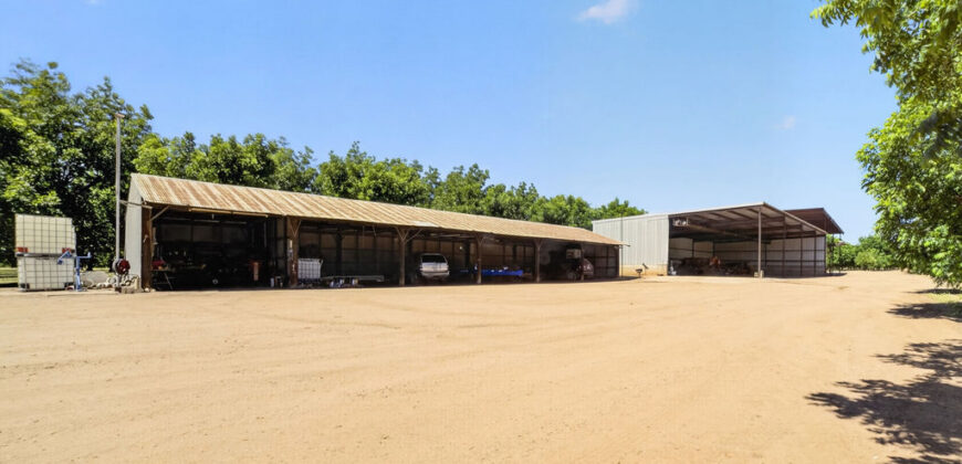 Pecan Orchard For Sale in Arizona