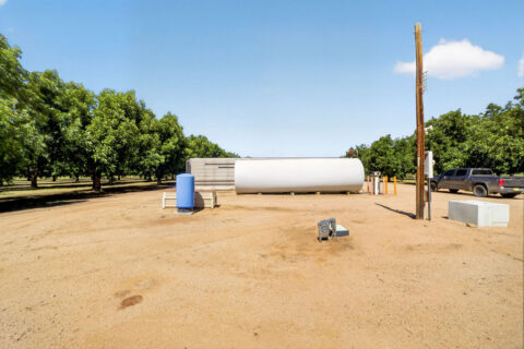 Pecan Orchard For Sale in Arizona