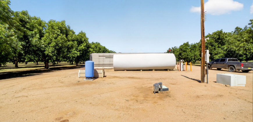 Pecan Orchard For Sale in Arizona