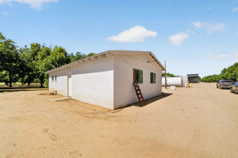 Pecan Orchard For Sale in Arizona