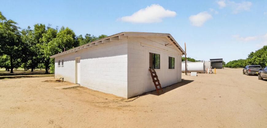 Pecan Orchard For Sale in Arizona