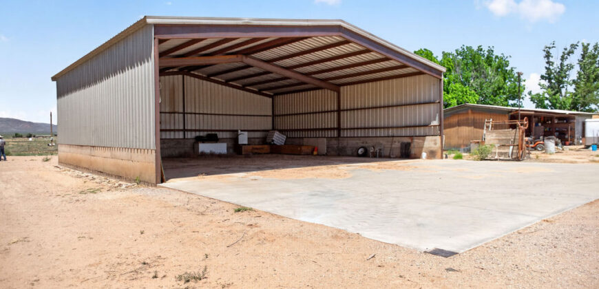 Pecan Orchard For Sale in Arizona