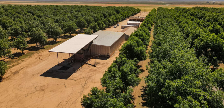 Pecan Orchard For Sale in Arizona