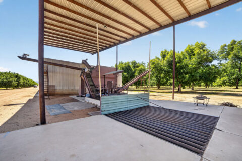 Pecan Orchard For Sale in Arizona
