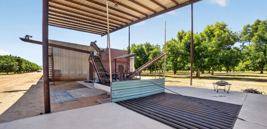 Pecan Orchard For Sale in Arizona