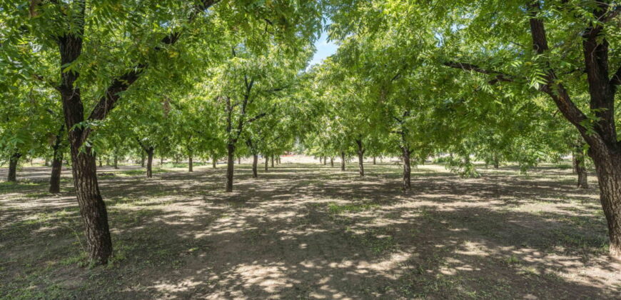 Ranch Home For Sale on 1.35 Acres In Las Cruces, NM