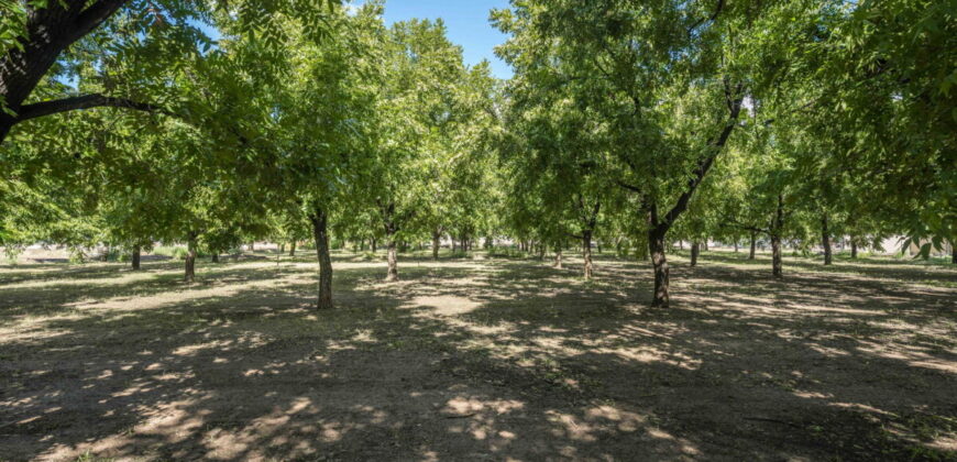 Ranch Home For Sale on 1.35 Acres In Las Cruces, NM