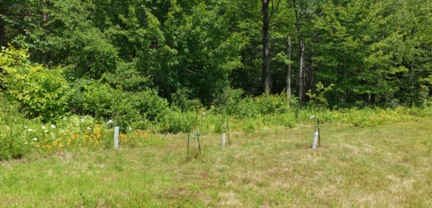 Rural Maine Homestead with 14 Acres
