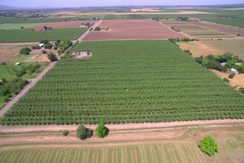 Solano County, Dixon, CA Acreage & Home for Sale