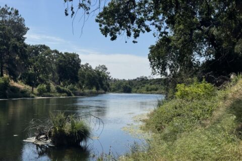 Winters, California Waterfront Acreage with 2 Homes for Sale