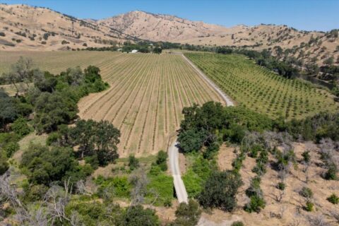 Winters, California Waterfront Acreage with 2 Homes for Sale