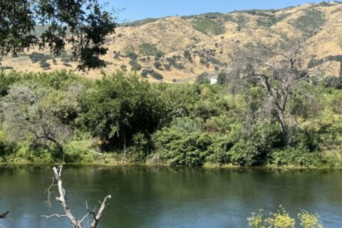 Winters, California Waterfront Acreage with 2 Homes for Sale