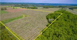 Michigan Land & Orchard For Sale w/ Winery or Cidery Potential – SOLD