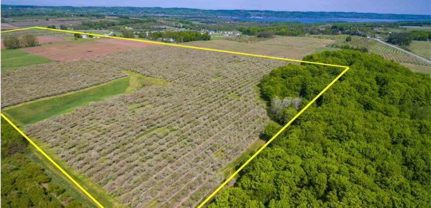 Michigan Land & Orchard For Sale w/ Winery or Cidery Potential – SOLD