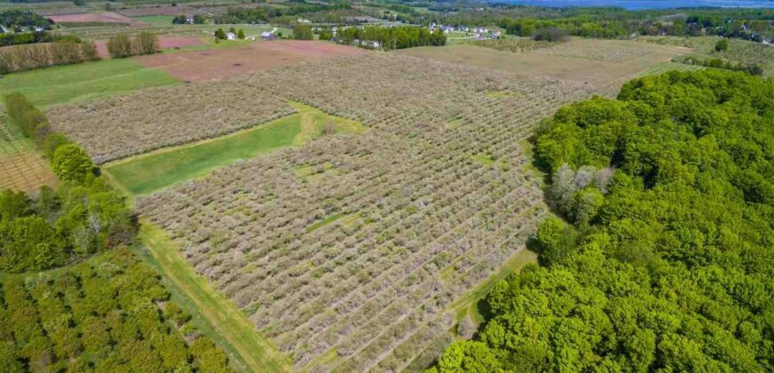 Michigan Land & Orchard For Sale w/ Winery or Cidery Potential – SOLD