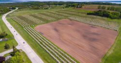 Michigan Land & Orchard For Sale w/ Winery or Cidery Potential – SOLD