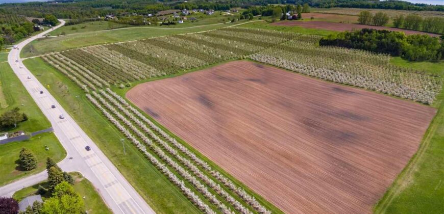 Michigan Land & Orchard For Sale w/ Winery or Cidery Potential – SOLD