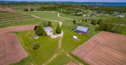 Michigan Land & Orchard For Sale w/ Winery or Cidery Potential – SOLD
