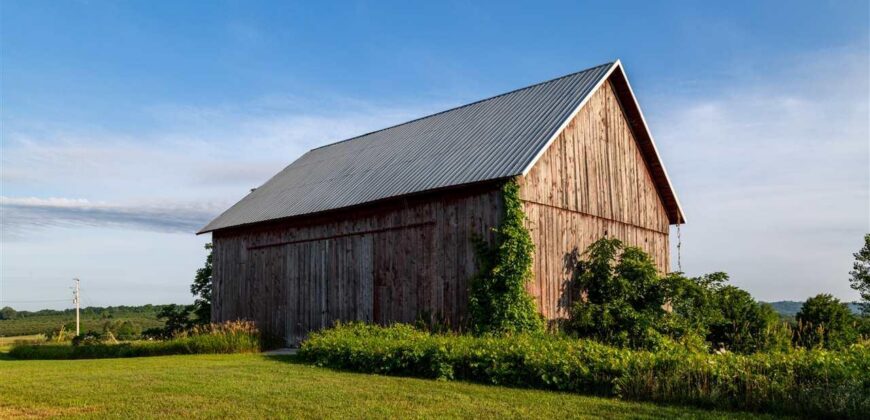 Michigan Land & Orchard For Sale w/ Winery or Cidery Potential – SOLD